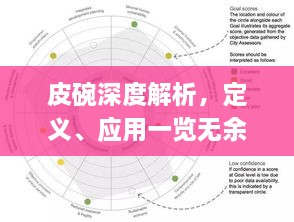 皮碗深度解析，定义、应用一览无余