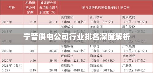 宁晋供电公司行业排名深度解析
