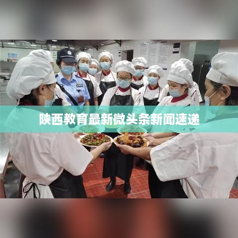 陕西教育最新微头条新闻速递