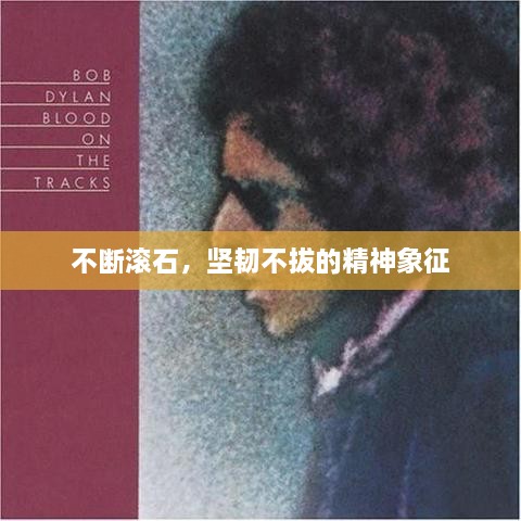 不断滚石，坚韧不拔的精神象征
