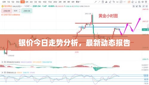 银价今日走势分析，最新动态报告
