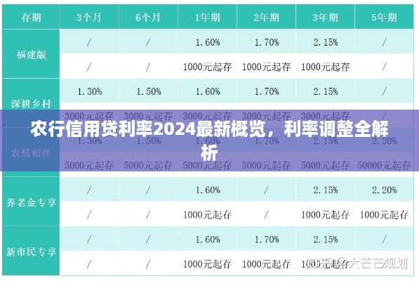 农行信用贷利率2024最新概览，利率调整全解析