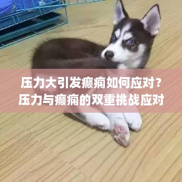 压力大引发癫痫如何应对？压力与癫痫的双重挑战应对指南