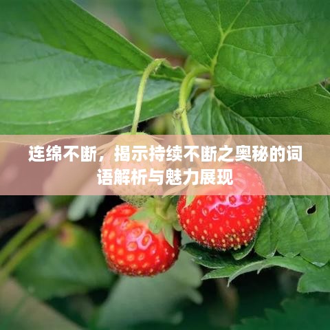 连绵不断，揭示持续不断之奥秘的词语解析与魅力展现