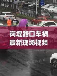 岗堤路口车祸最新现场视频，深度剖析一起交通事故的惊人内幕