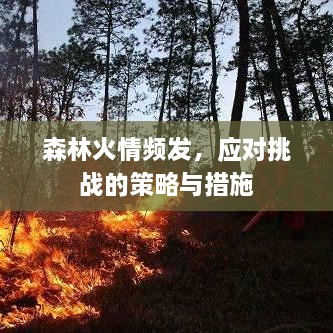 森林火情频发，应对挑战的策略与措施