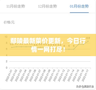 鄢陵最新菜价更新，今日行情一网打尽！