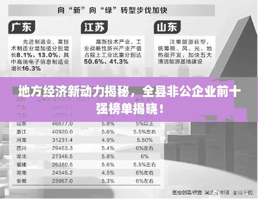 地方经济新动力揭秘，全县非公企业前十强榜单揭晓！