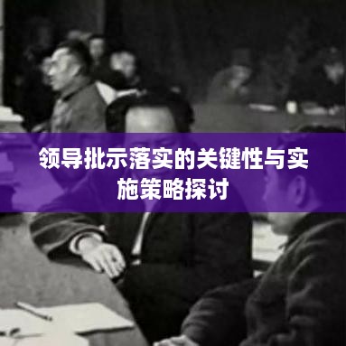 领导批示落实的关键性与实施策略探讨