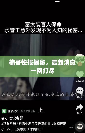楠哥快报揭秘，最新消息一网打尽