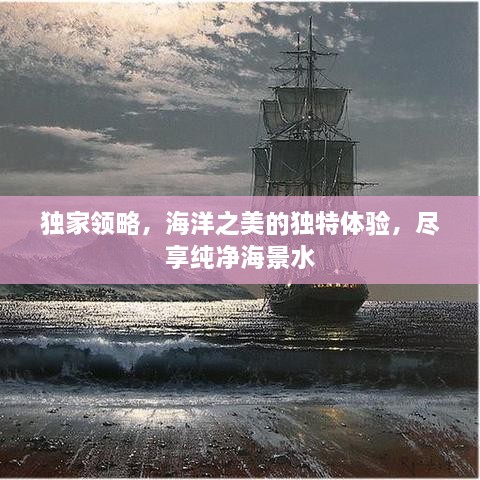 独家领略，海洋之美的独特体验，尽享纯净海景水