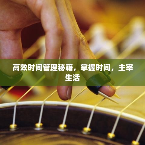 富贵骄人