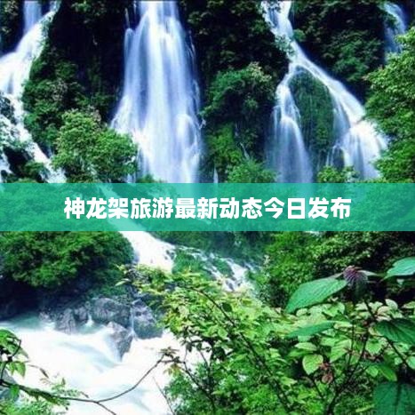 澹泊明志，宁静致远