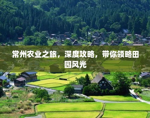 行将就木
