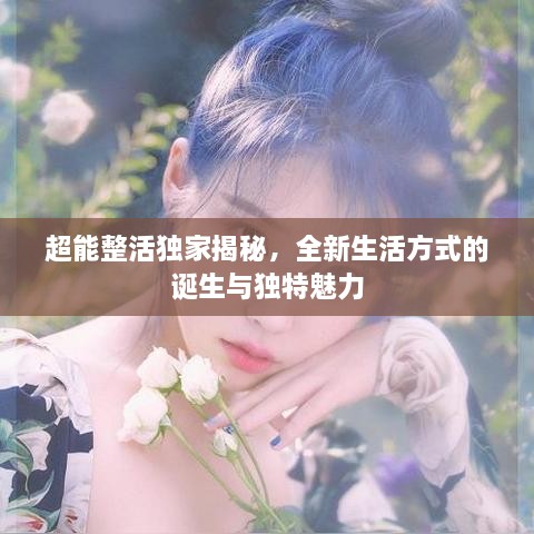 成功案例 第23页