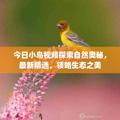 2025年6月2日