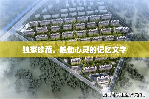 天荒地老