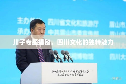 川子专题揭秘，四川文化的独特魅力