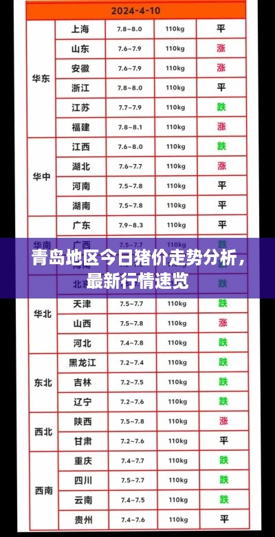 青岛地区今日猪价走势分析，最新行情速览