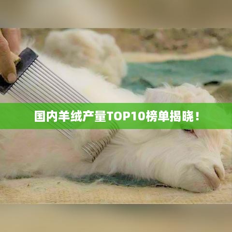 国内羊绒产量TOP10榜单揭晓！