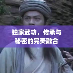 独家武功，传承与秘密的完美融合