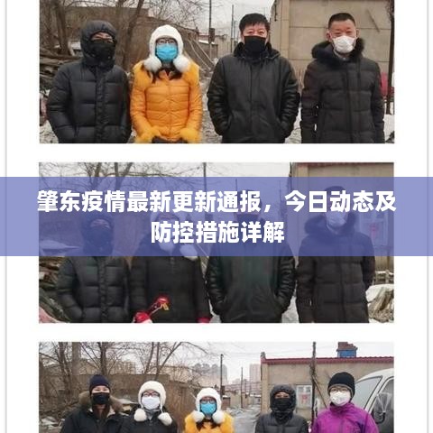 肇东疫情最新更新通报，今日动态及防控措施详解